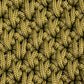 MASSIA